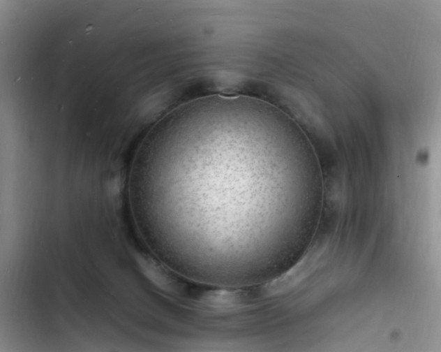 X0000102780082200808251126