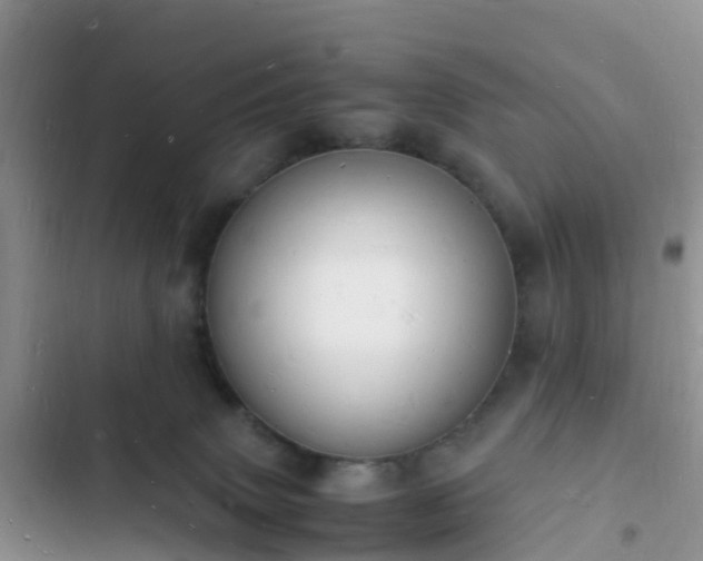 X0000102780083200808251126