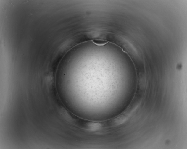 X0000102780085200808251126