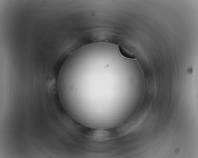 X0000102780087200808251126