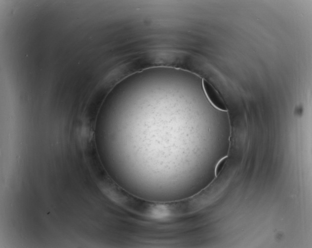 X0000102780091200808251126