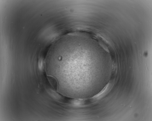 X0000102780094200808251126