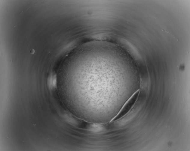 X0000102780095200808251126