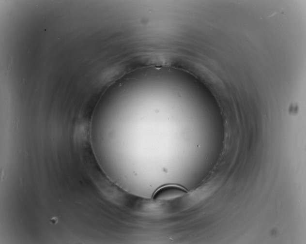 X0000102780096200808251126