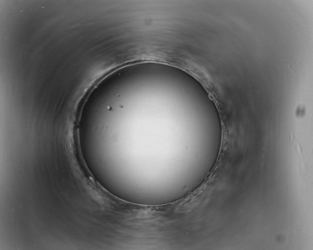 X0000102780098200808251125