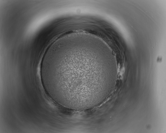 X0000102780099200808251125