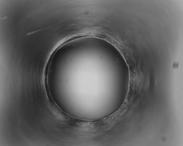 X0000102780100200808251125