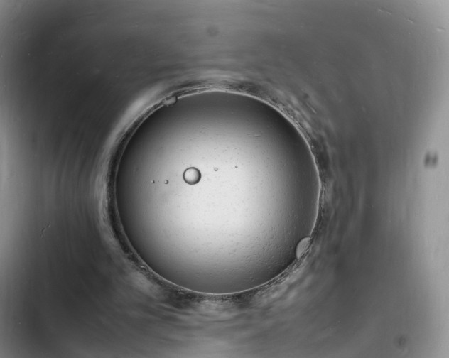 X0000102780101200808251125