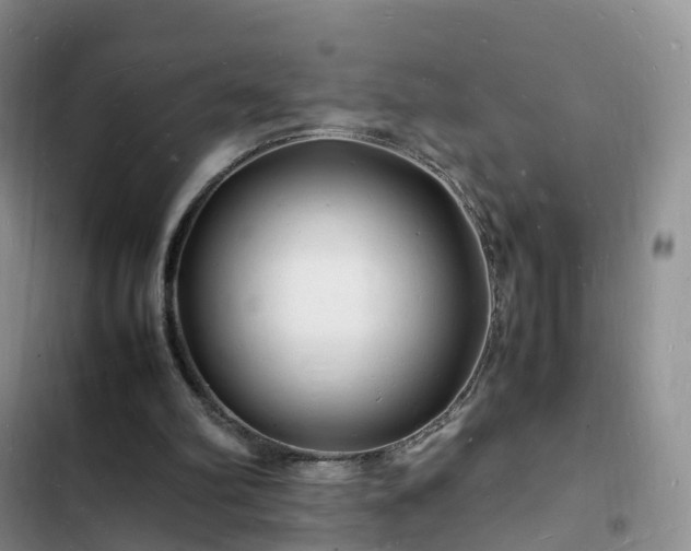 X0000102780102200808251125