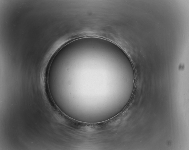 X0000102780103200808251125