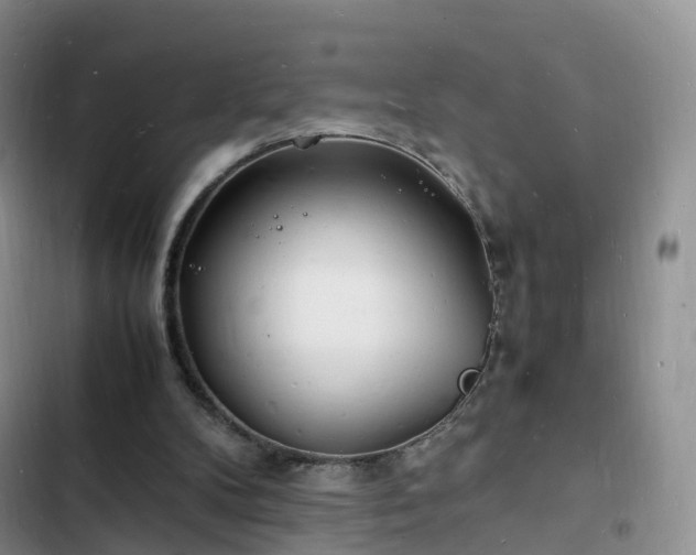 X0000102780104200808251125