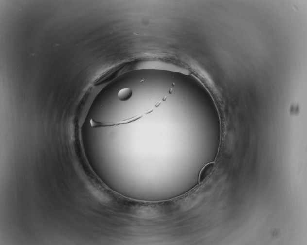 X0000102780106200808251125