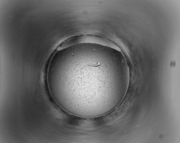 X0000102780107200808251125