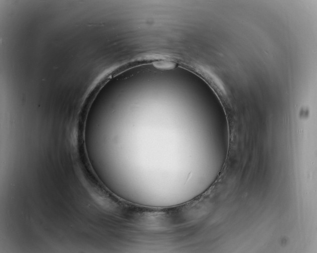 X0000102780108200808251125