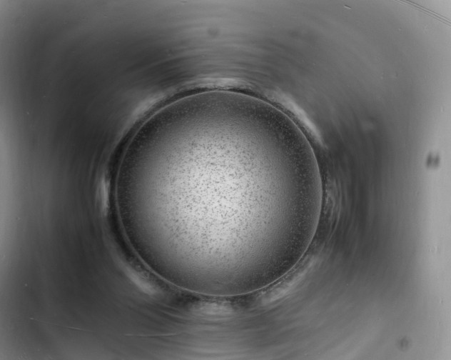 X0000102780110200808251125