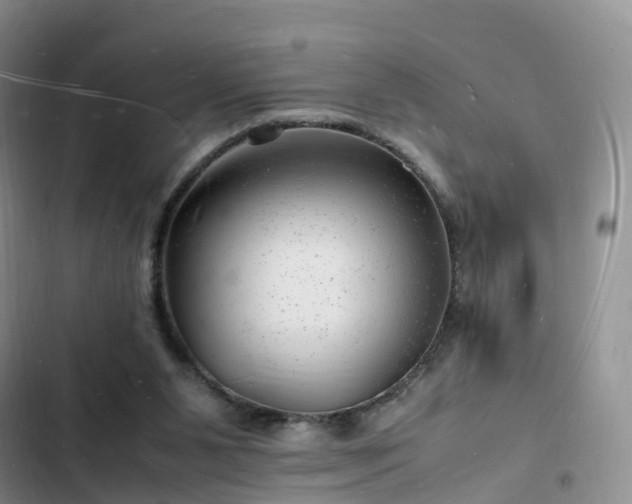 X0000102780111200808251125