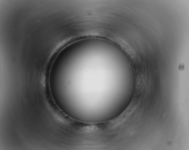 X0000102780112200808251125