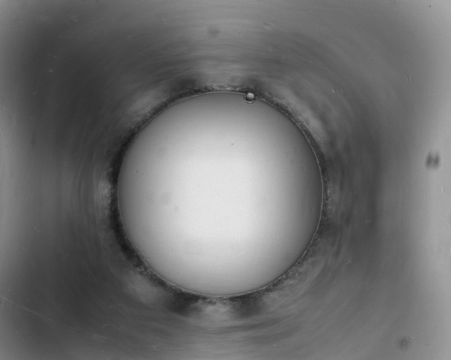 X0000102780113200808251125