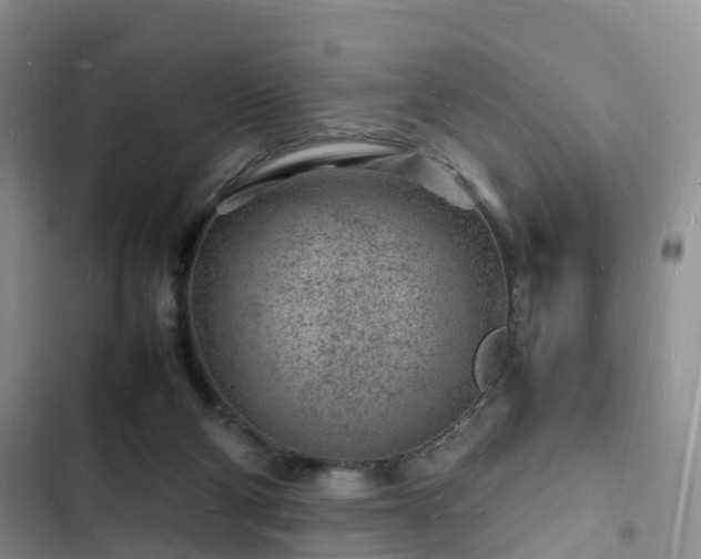 X0000102780114200808251125