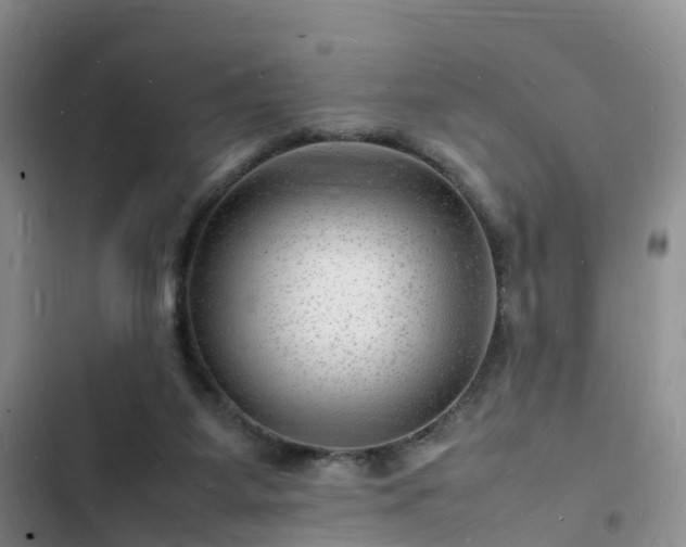 X0000102780115200808251125