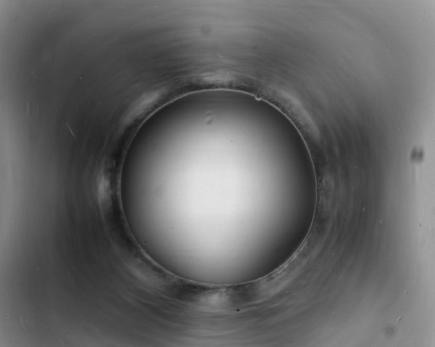 X0000102780116200808251125