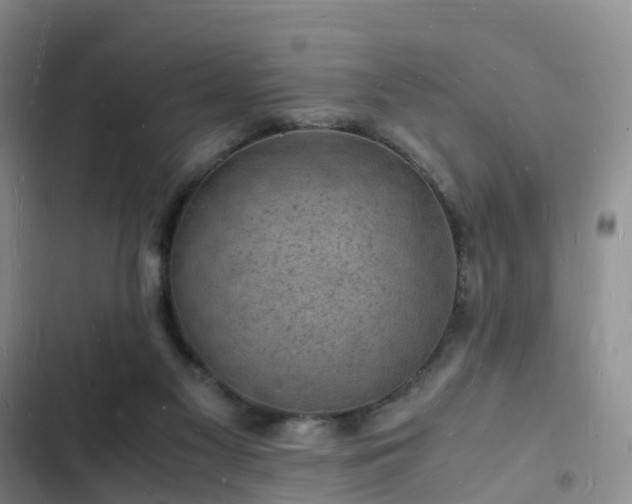 X0000102780117200808251125