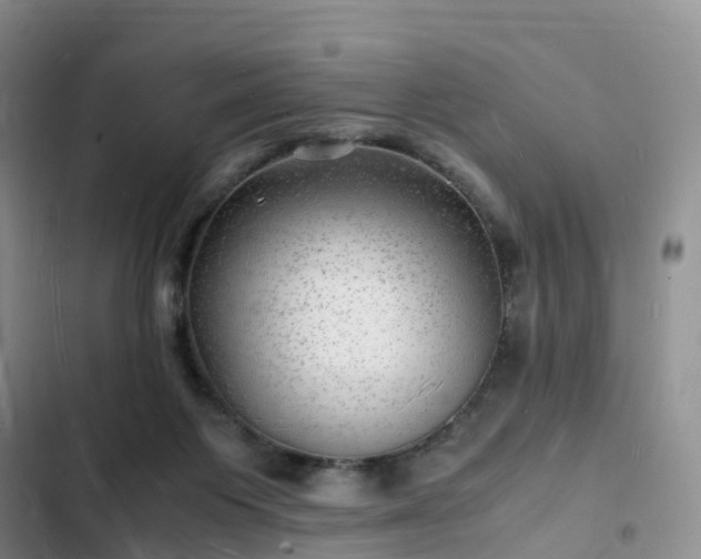 X0000102780119200808251125