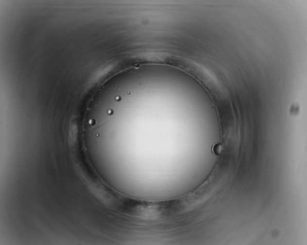 X0000102780120200808251125