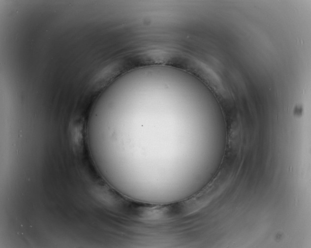 X0000102780122200808251125