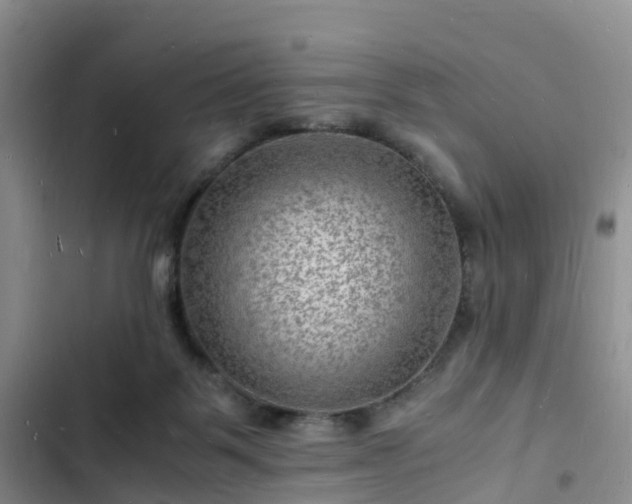 X0000102780123200808251125