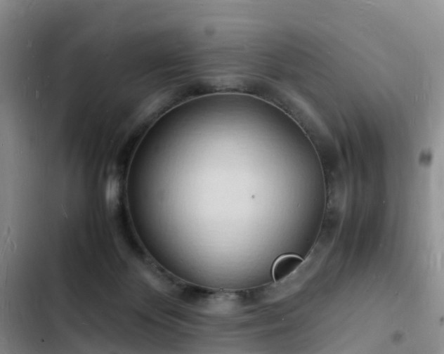 X0000102780124200808251125