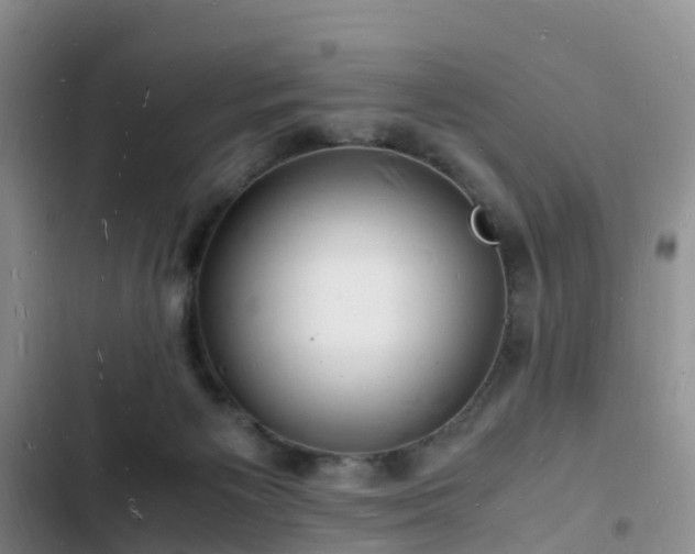 X0000102780125200808251125