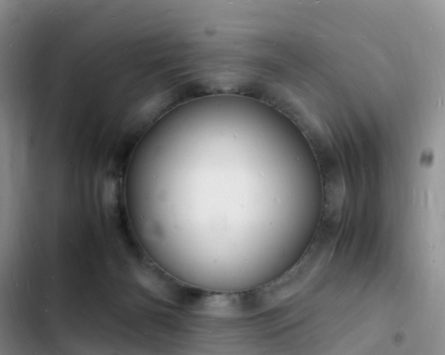 X0000102780126200808251125