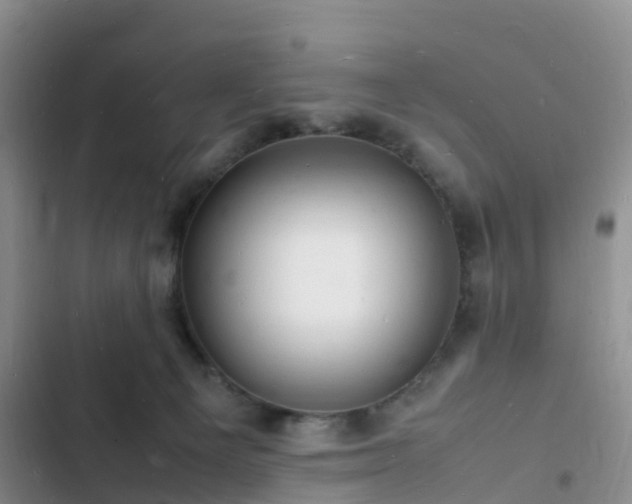 X0000102780129200808251125