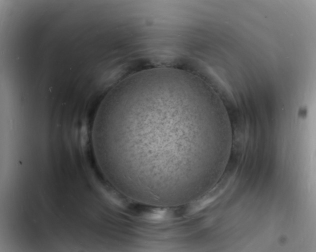 X0000102780130200808251125