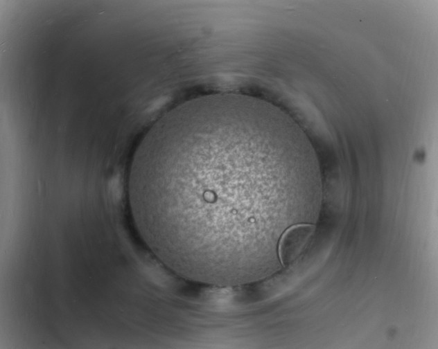 X0000102780131200808251125