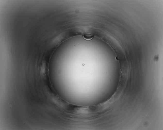 X0000102780132200808251124