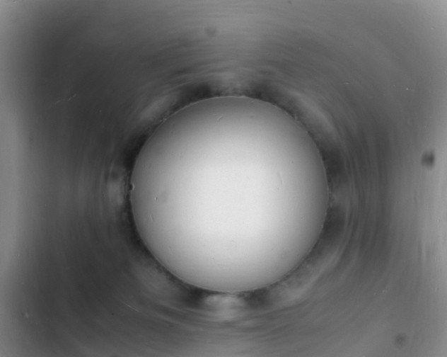 X0000102780133200808251124