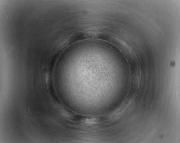 X0000102780134200808251124