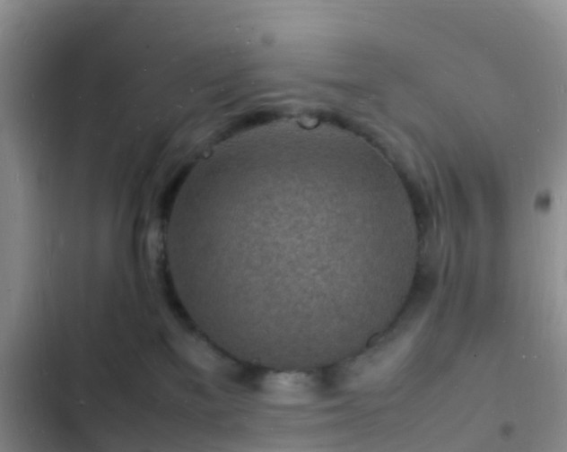 X0000102780137200808251124