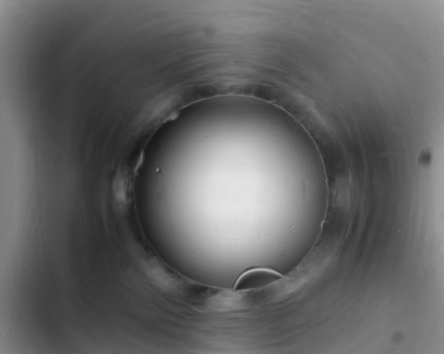 X0000102780138200808251124