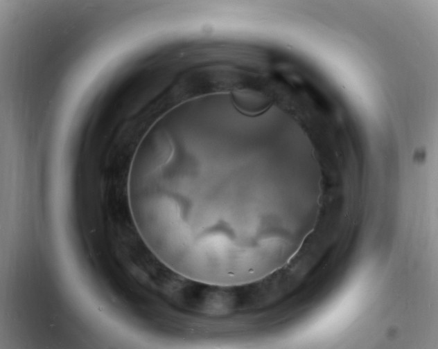 X0000102780143200808251124