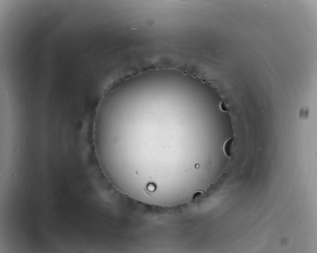 X0000102780144200808251124