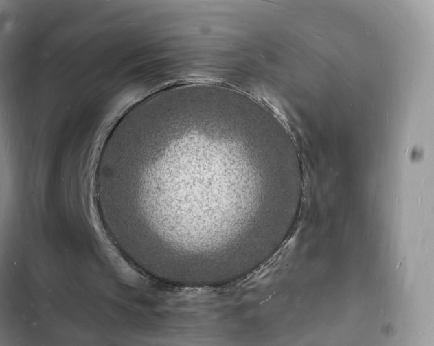 X0000102780145200808251124