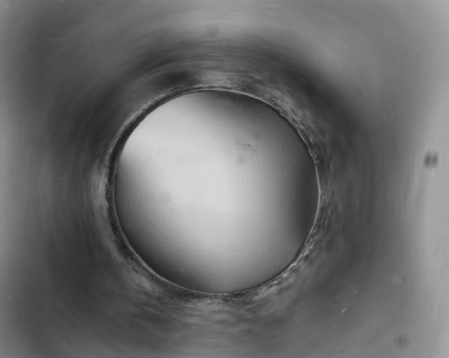 X0000102780146200808251124