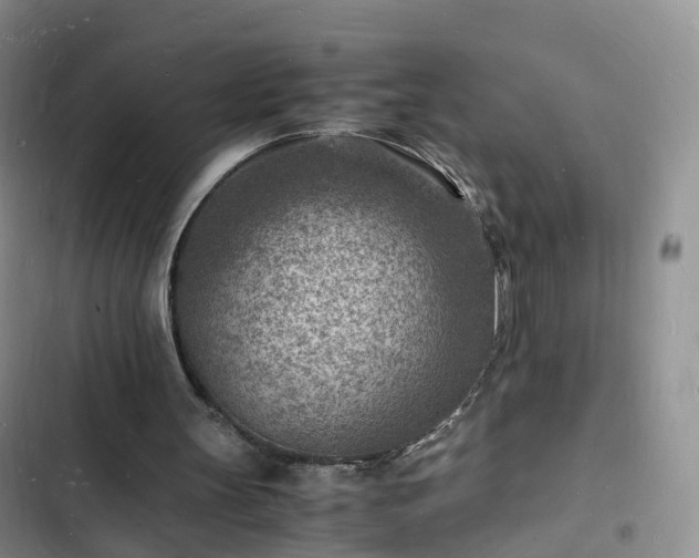 X0000102780147200808251124