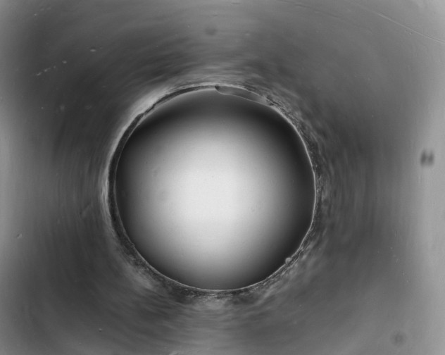 X0000102780148200808251124