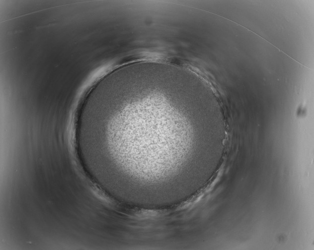 X0000102780149200808251124