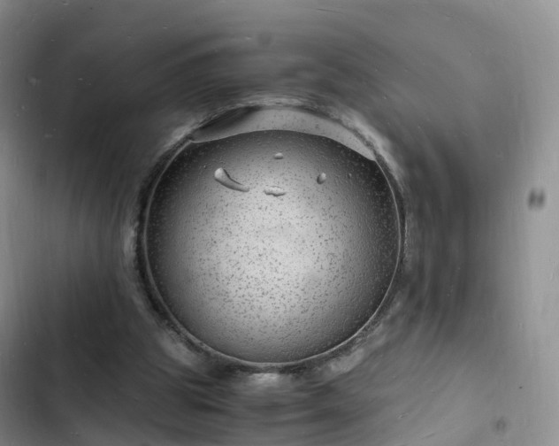 X0000102780153200808251124