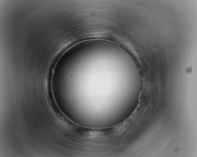 X0000102780154200808251124